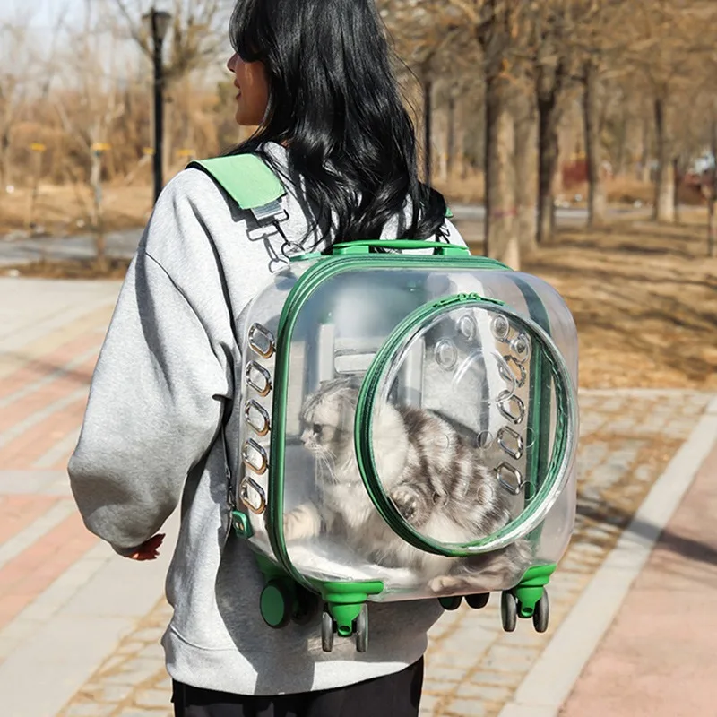 Valise de voyage en plein air pour chat, sac à dos pour chat, sac à dos de grande capacité pour animaux de compagnie, outil de transport Portable et respirant pour animaux de compagnie
