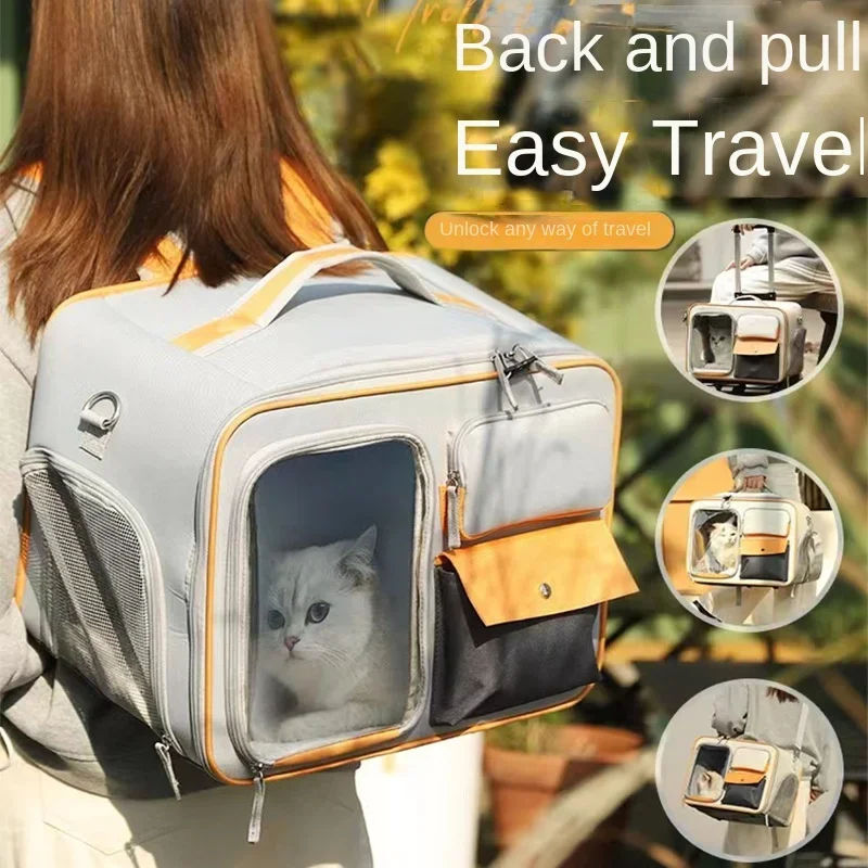 les animaux de compagnie sortir avec des chariots portables valises petits chiens chats peuvent utiliser des sacs valise pour chat haute apparence capsule spatiale de voyage