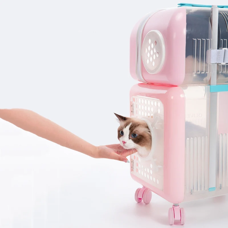 sac portable pour chat, vaisseau spatial respirant en plein air, valise double pour chat, bagages, transports de voyage pour animaux de compagnie, équipement de transport pour petits animaux