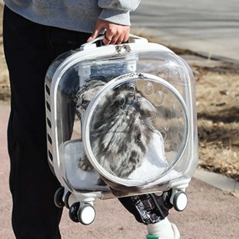 valise de voyage en plein air pour chat, sac à dos pour chat, sac à dos de grande capacité pour animaux de compagnie, outil de transport portable et respirant pour animaux de compagnie