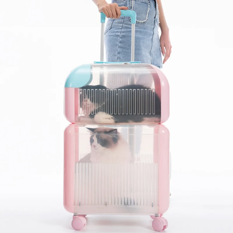 Sac Portable pour chat, vaisseau spatial respirant en plein air, valise Double pour chat, bagages, transports de voyage pour animaux de compagnie, équipement de transport pour petits animaux