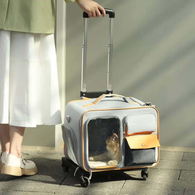 les animaux de compagnie sortir avec des chariots portables valises petits chiens chats peuvent utiliser des sacs valise pour chat haute apparence capsule spatiale de voyage