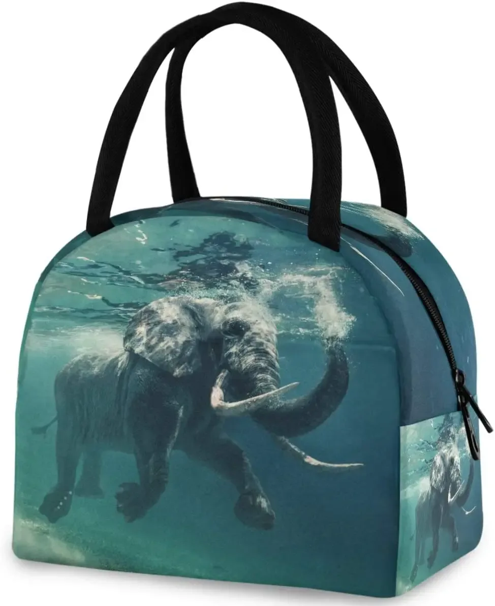 pop art pdpdogs-sac fourre-tout à déjeuner réutilisable avec poche avant, sac isotherme thermique isolé pour la rentrée scolaire, le travail, le pique-nique