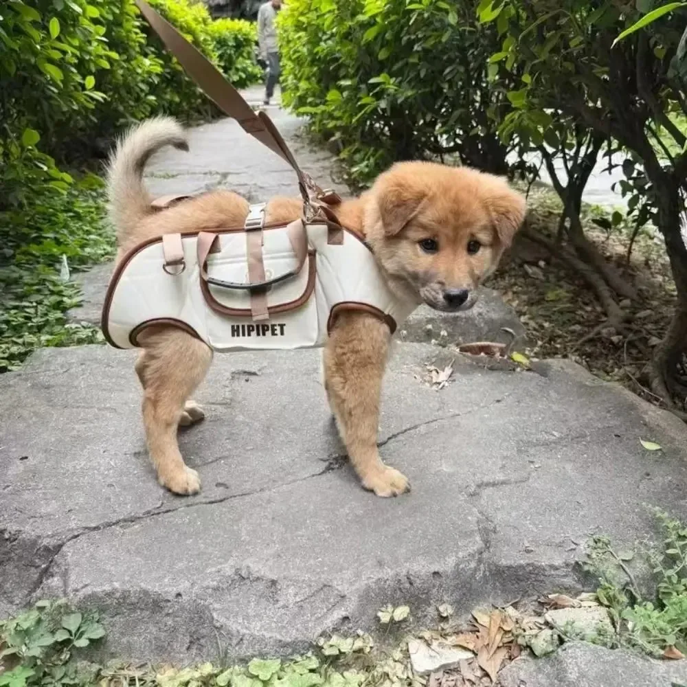 sac à dos de transport multifonctionnel et portable, sac à dos pour chien à double épaule, sac de transport pour animaux de compagnie à porter en bandoulière, sac respirant pour animaux de compagnie d'extérieur