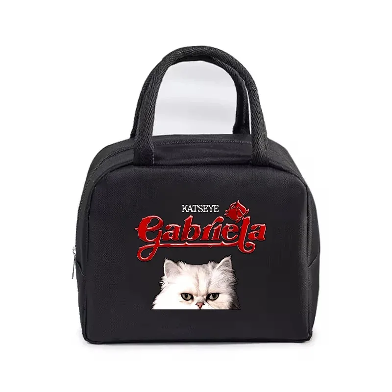 sac fourre-tout imprimé kpop katseye, boîte à lunch thermique, sac de rangement pour hommes, femmes, bureau, étudiants, sacs isothermes pour bento, sac à lunch pour enfants, cadeaux