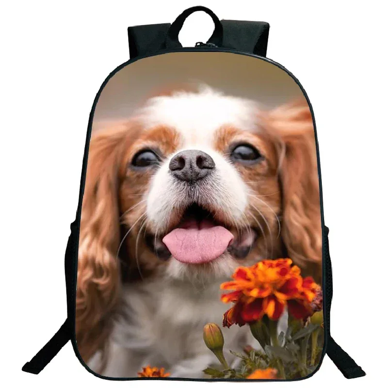 sac à dos imprimé de troupeau des contribuables allemands, grande capacité, sacs d'école pour garçons et filles, sac à dos mignon pour chien corgi husky, sac de voyage étanche, cartable