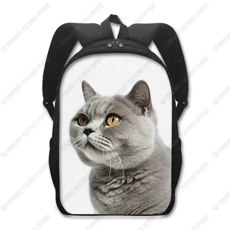 sac à dos chat mignon chat persan/siamese, sacs d'école pour enfants pour adolescents, chat britannique écossais, sacs à dos pour ordinateur portable, sac de livre chaton