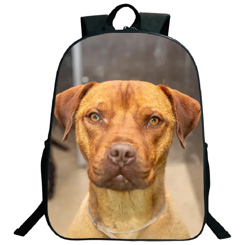 sac à dos imprimé de troupeau des contribuables allemands, grande capacité, sacs d'école pour garçons et filles, sac à dos mignon pour chien corgi husky, sac de voyage étanche, cartable
