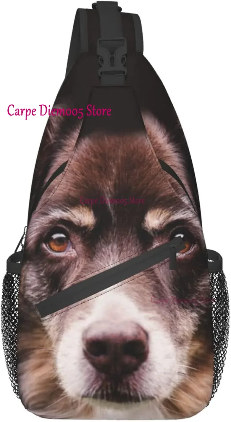 sac dos polyester motif chien floral petit format bandoulière poches extérieures voyage jour randonnée