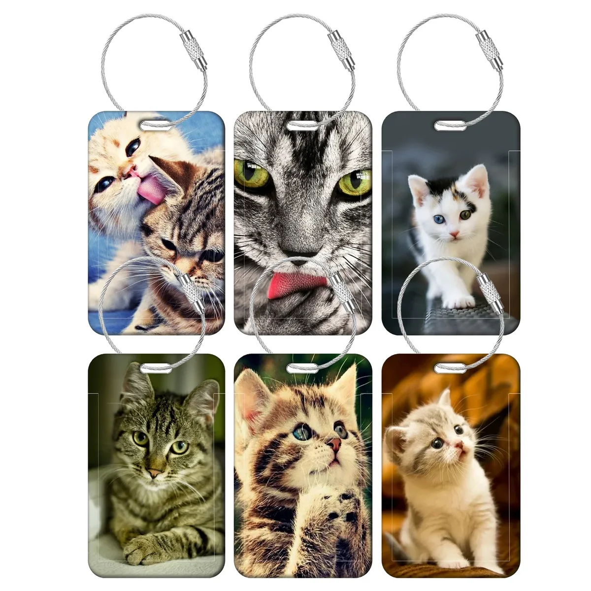 étiquettes de bagage chat mignon, porte-adresses et noms pour valises, étiquettes de bagage chaton, accessoires de voyage pour valises