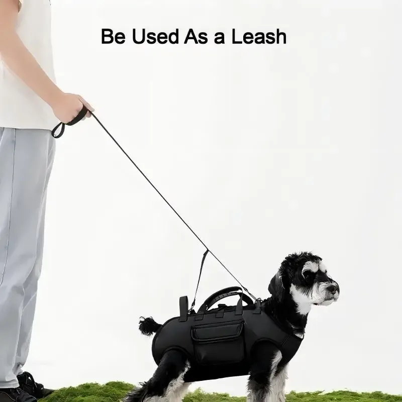 sac à dos portable pour chien avec laisse intégrée, sac à bandoulière pour promener les chiens, accessoires élégants pour animaux de compagnie tendance