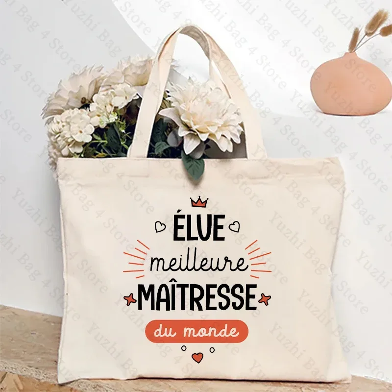 sac fourre-tout de shopping de mode pour femmes avec professeur de chouette et sac à bandoulière design hibou cadeau pour éducatifs cadeau maitresse d'école