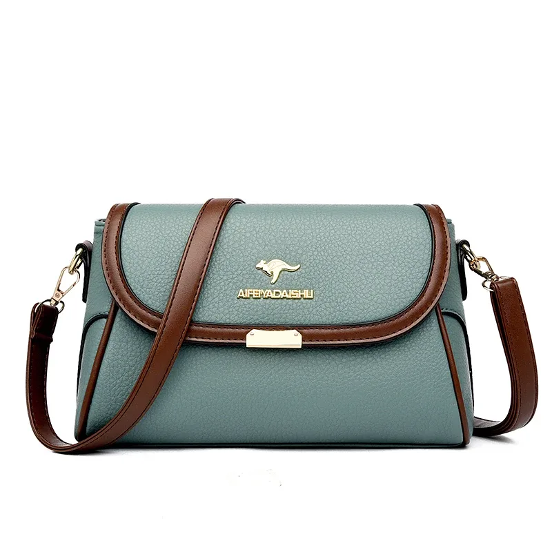 sac à bandoulière en cuir solide de bonne qualité pour femme, petits sacs à bandoulière de styliste, nouvelle collection 2024