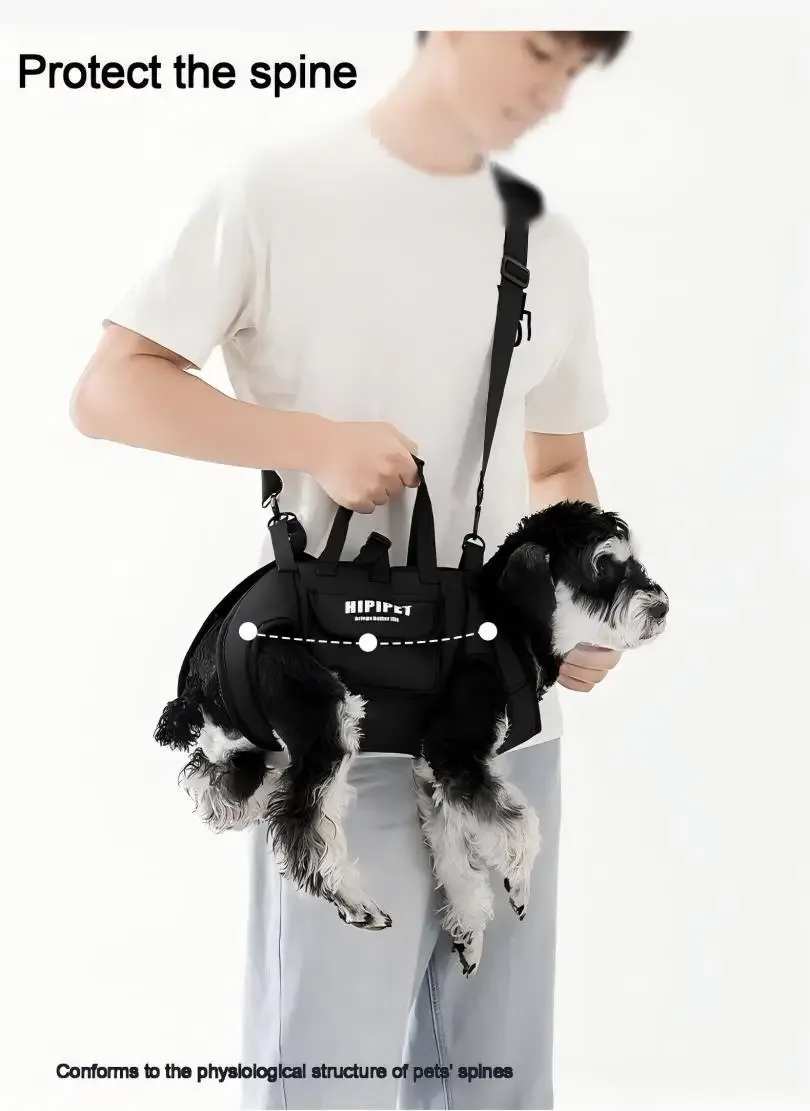 sac à dos portable pour chien avec laisse intégrée, sac à bandoulière pour promener les chiens, accessoires élégants pour animaux de compagnie tendance