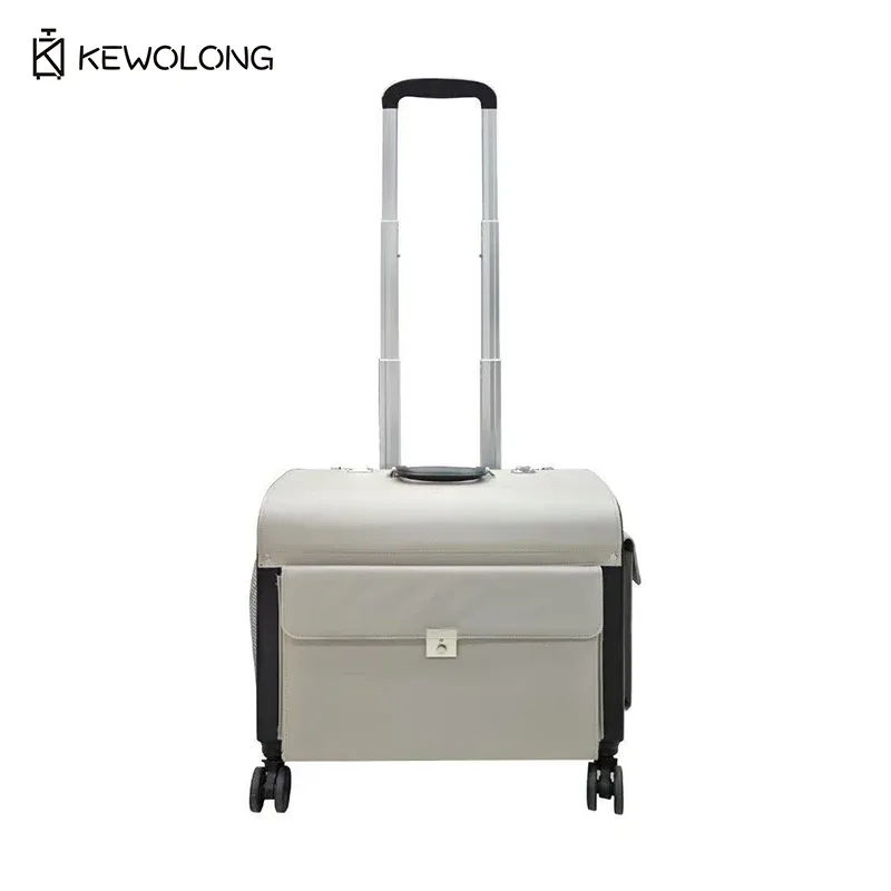 valise de maquillage professionnelle à roulettes, grande capacité, pour outils de beauté, organisateur de voyage portable