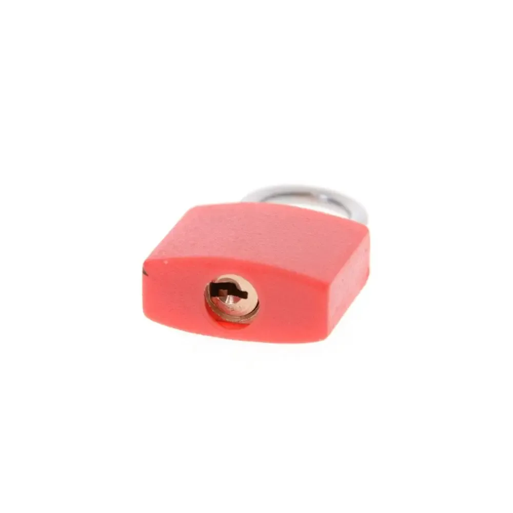 mini cadenas de voyage 23 mm pour valise, porte de placard, sac à dos, petit bagage, avec 2 clés, idéal pour la maison et les décorations