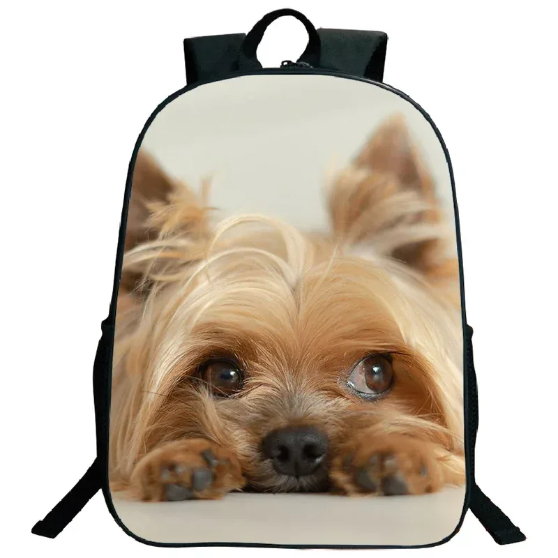 sac à dos imprimé de troupeau des contribuables allemands, grande capacité, sacs d'école pour garçons et filles, sac à dos mignon pour chien corgi husky, sac de voyage étanche, cartable